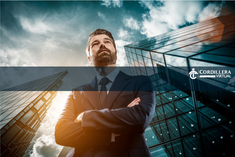 TECNOLOGÍAS DE LA INFORMACIÓN PARA LAS EMPRESAS